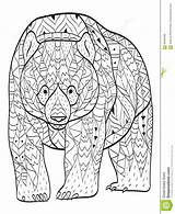 Coloring Bear Adults Pages Dreamstime Adult Stress sketch template
