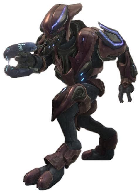 halo reach elite zealot halo reach halo halo armor