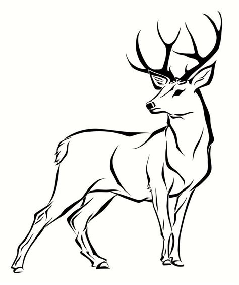 printable deer pictures