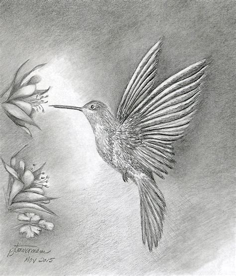 Another Hummingbird Drawing By Patricia Timmermans