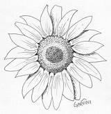 Sunflower Zeichnen Sonnenblumen Gravieren sketch template
