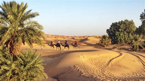 sahara desert  morocco  trip  erg chebbi