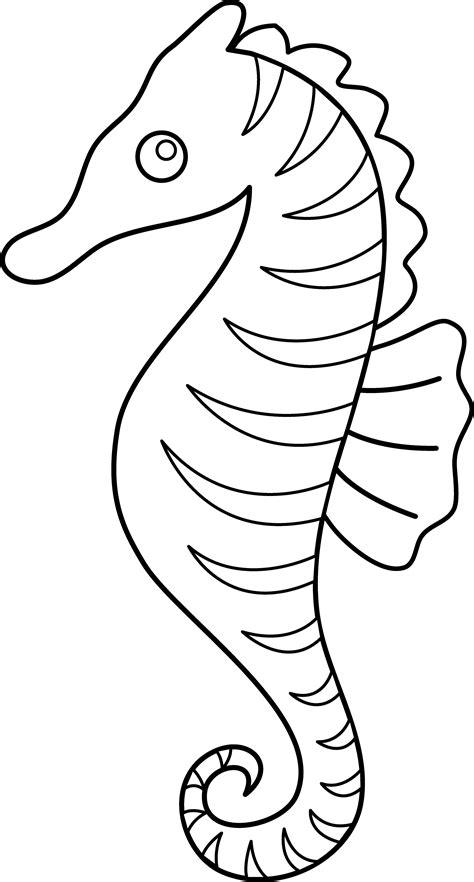 seahorse coloring page  clip art