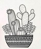 Cactus Mandala Kaktus Cactos Doodle Cacto Ausmalbilder Ausdrucken Mandalas Romero Zeichnen Riscos Malerei Ausmalbild Brito Obras Skizzen Doodling Arrangements Dibuixos sketch template