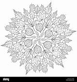 Mandala Autumn Coloring Leaves Background Vector Alamy Adult Illustration Children sketch template