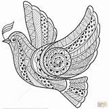 Ausmalbilder Zentangle Friedenstaube Peace Ausmalbild sketch template