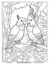 Animal Coloring Printables Pages Printable Popular sketch template