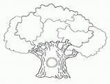 Tree Coloring Pages Family Kids Trees Printable Colouring Big Color Bare Roots Banyan Coloring4free Print Oak Getcolorings Getdrawings Popular Colorings sketch template