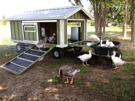 large portable goose  duck coop wagon  water catchment portable pond backyard