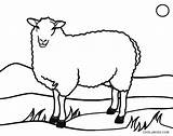 Sheep Coloring Pages Face Kids Printable sketch template