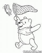 Mariposa Winnie Colorkid Pooh Atrapa Dibujos sketch template