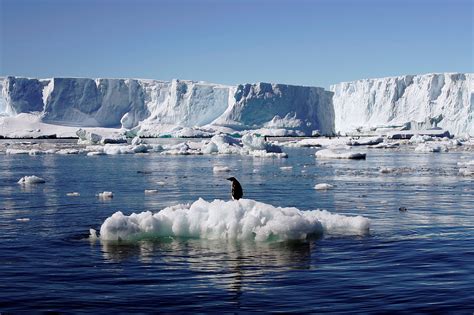 polar warning  antarcticas coldest region  starting  melt yale