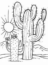 Cactus Coloring Pages Coloringfolder Choose Board Desert Sunset Great Book sketch template