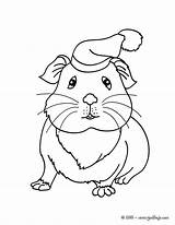 Hamster Inde Cochon Meerschweinchen Guinea Coloriages Malvorlagen Cuy Imprimer Cobaya Animaux Mascotas Cobayas Ausdrucken Hellokids 기니 피그 색칠 Nain 아이디어 sketch template