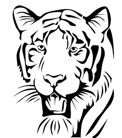 tiger outline template clipart