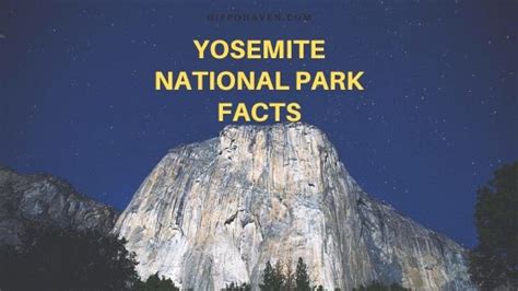 yosemite national park facts people dont  hippo haven