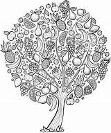 Obst Roots Dover Publications Arbre árbol Ausmalen Malvorlagen Erwachsene Getdrawings Arbres Fruitiers Gratuit Mandale sketch template