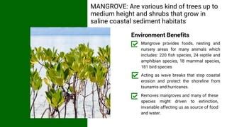 esd activities  rehabilitating mangrove forests  cooperation  local communities