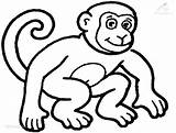 Affe Dierentuin Malvorlagen Ausschneiden Animal Afrikanische Monkeys Affen Ausdrucken Vorlagen Aap Zootiere Bildergebnis Ziyaret sketch template