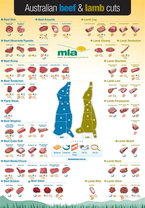 sheep cuts  meat chart pin   style luciana herrera