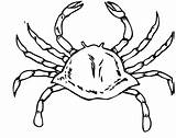 Crab Coloring Pages Crabs Kids Printable Color sketch template