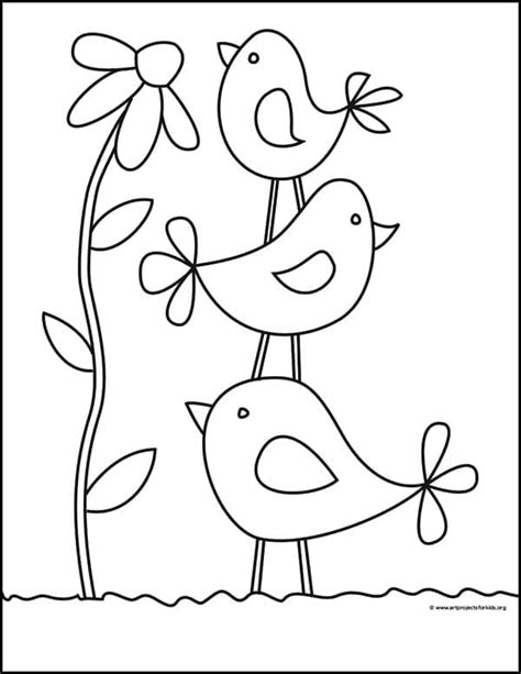 easy   draw simple birds tutorial  birds coloring page