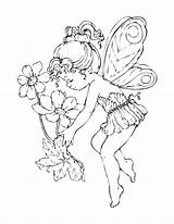 Coloring Fairy Pages Printable Adults Evil Getdrawings sketch template