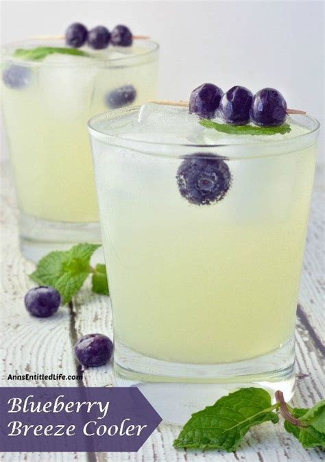 blueberry breeze cooler quench your thirst with this adult lemonade cocktail a deliciously
