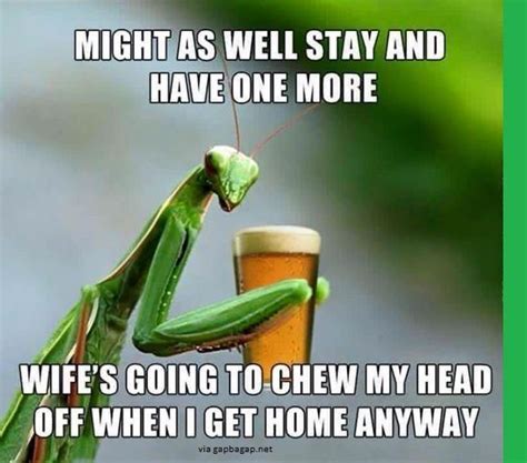 funny joke about wife vs drinks beer humor funny