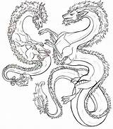 Hydra Animaux Fantastiques Adulte Dragons Animales Fantasticos Drachen Coloriages Fabeltiere Desenhos Ausmalbild Fantastici Kraken Adultos Colorir Dragones Fantásticos Adultes Relajante sketch template