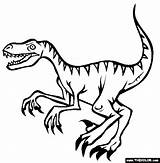 Velociraptor Coloring Pages Dinosaur Raptor Online Coloriage Color Dinosaure Drawing Print Jurassic Dessin Imprimer Thecolor Dinos Boys Dinosaurs Colour Animals sketch template
