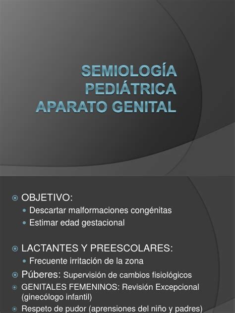 Expo Pediatria Semiologia Genital Pdf Testículo Labios