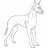 Dane Breeds Dogbreedslist sketch template