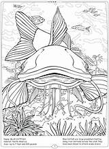 Coloring River Mississippi Catfish Pages Getdrawings Getcolorings sketch template