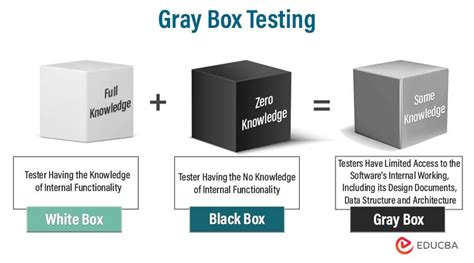 gray box testing meaning techniques  examples