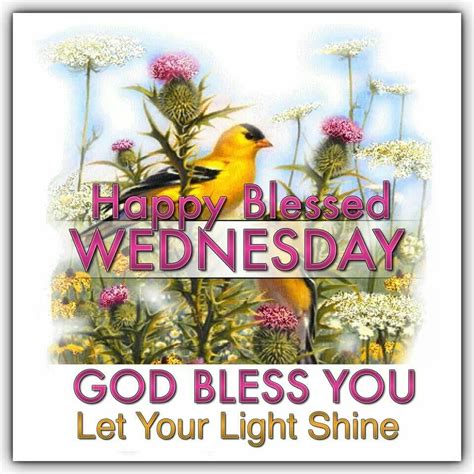 happy blessed wednesday  god bless  blessed wednesday good