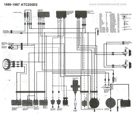 honda  fourtrax ignition wiring diagram aerden dnd