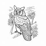 Hibou Duc Gufo Hiboux Reale Oehoe Owls Horned Buho Uhu Malvorlage Americano Amerikaanse Buhos Dificil Lembaran Provincial Prasekolah Burung Kleurplaten sketch template