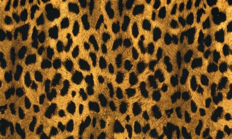 cheetah print  dip kit
