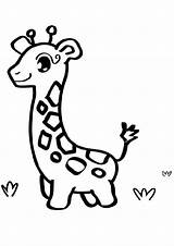 Coloring Giraffe Baby Pages Cute Printable Color Kids Easy Draw Print Drawings Pdf Animals Animal Looking Cartoon Find Dari Disimpan sketch template