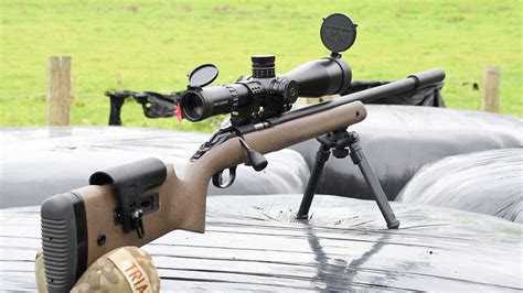 gun test ruger american rimfire long range target  lr