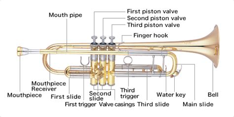 trumpet learn  golden