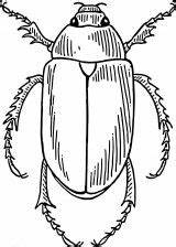 Escarabajos Colorear sketch template