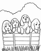 Dogs Spaniel Boykin Puppies Coloring sketch template