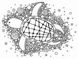 Turtle Coloring Sea Turtles Pages Adult Kids Animals Justcolor Print sketch template
