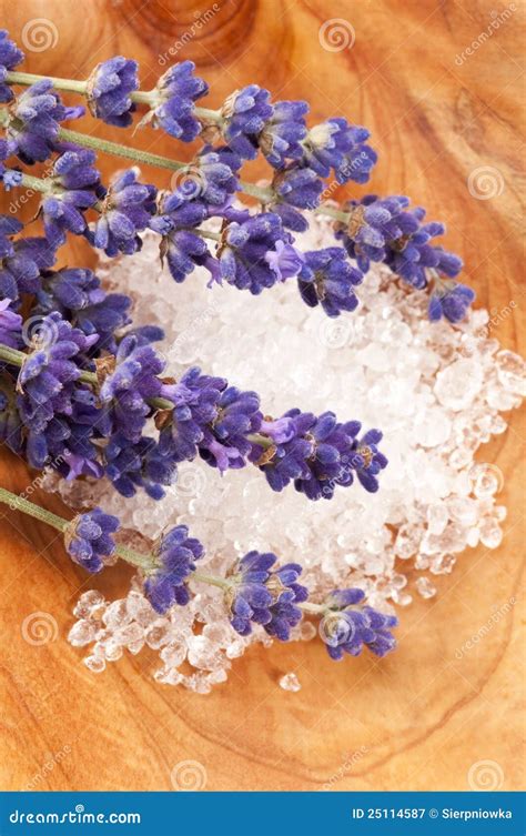 lavender spa stock image image  aroma nature medical