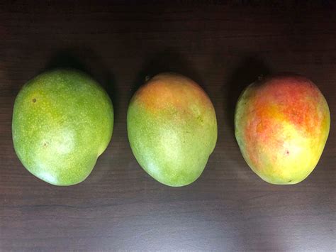 food health  quick tips  enjoy  mango announce university