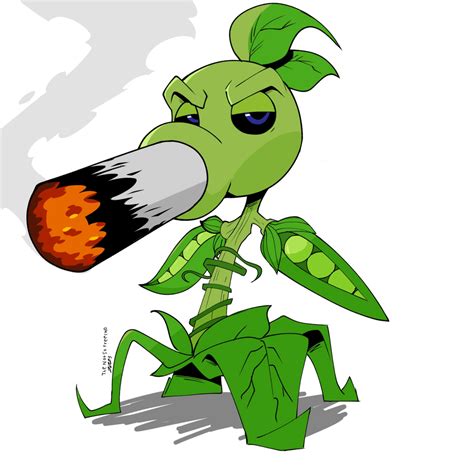 peashooter  smoker rplantsvszombies