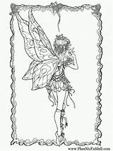 Fabelwesen Drachen Malvorlagen Phee Mcfaddell Erwachsene Fairyland Fairies 8x11 Besuchen Coloriages sketch template