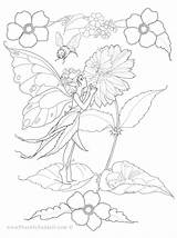 Coloring Fairy Pages Fairies Adult Flower Printable Desde Guardado Adults Hadas Bing Sheets sketch template